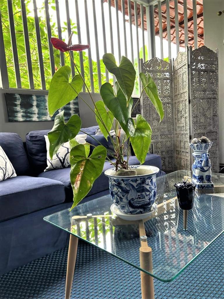 Casa Sophia 3 Listings Apartment 1 Or Apartment 2 Separately Or Apt 1 And 2 Together All With Fo Internet Guápiles Exterior foto